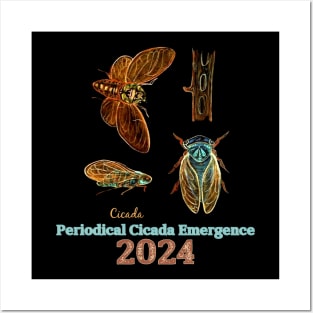 Cicada 2024 Periodical Emergence Posters and Art